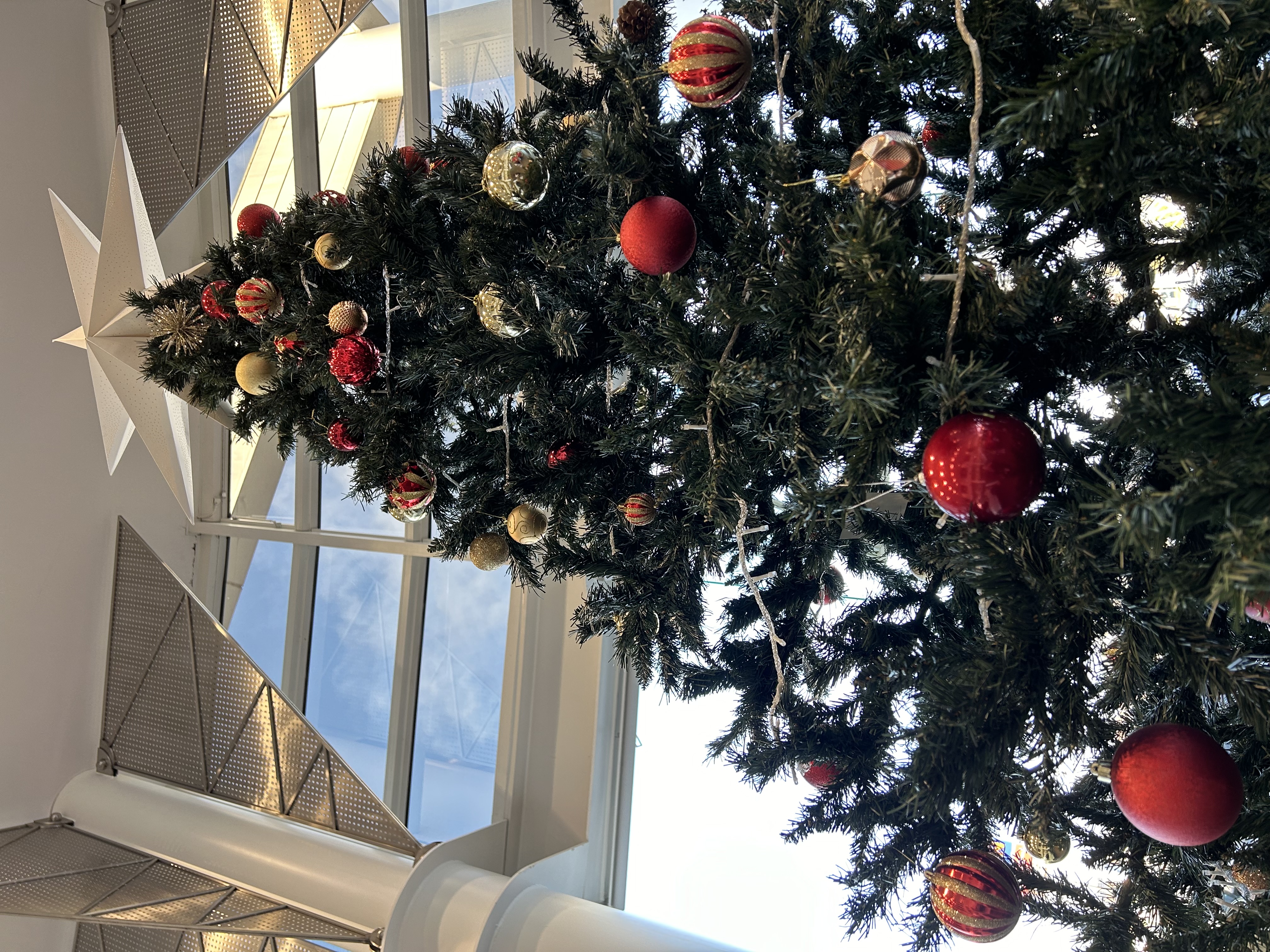 SRがクリスマス仕様に🎄✨