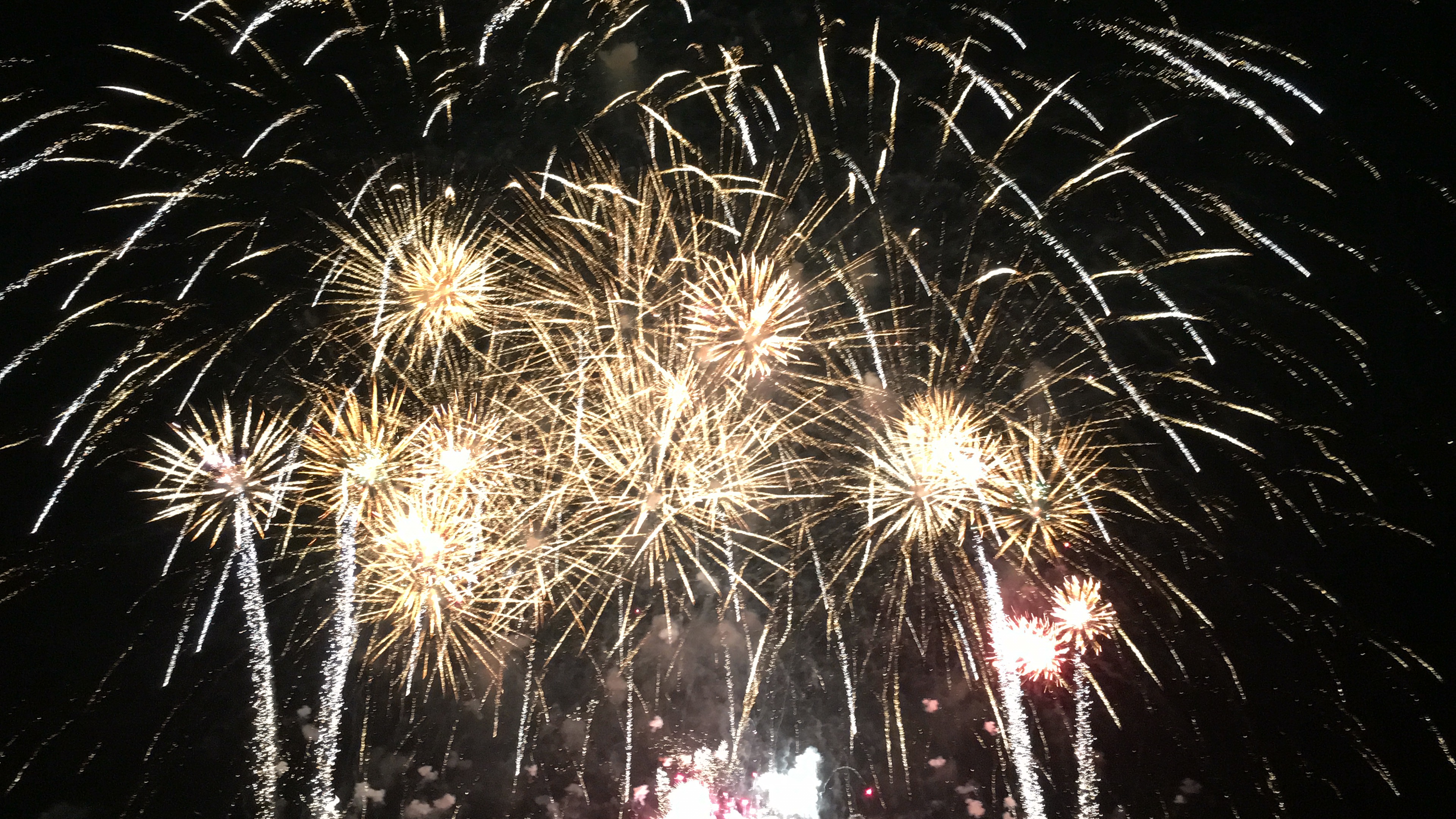 夏休み完全攻略編🎆🌻