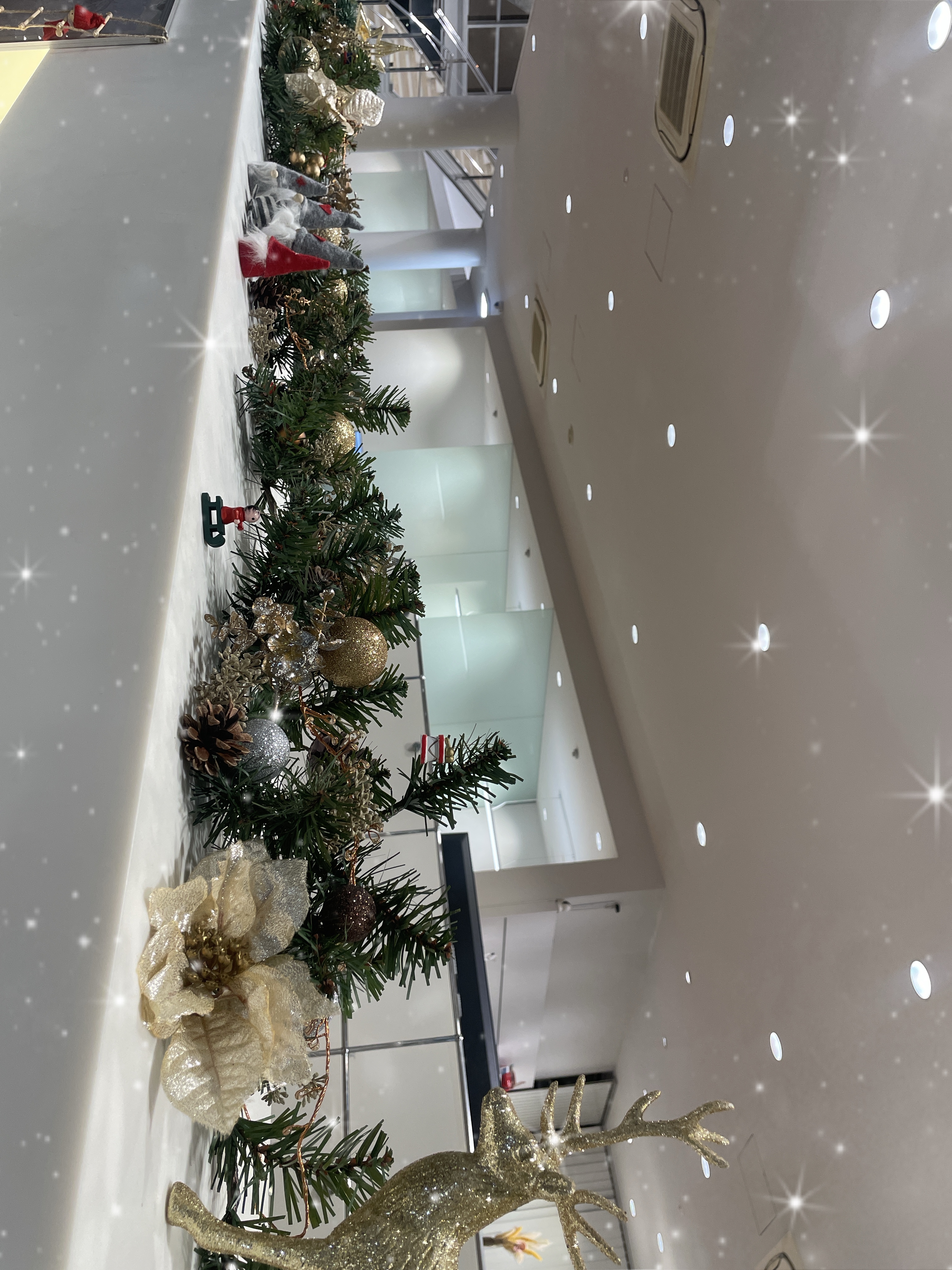 今年も････⛄