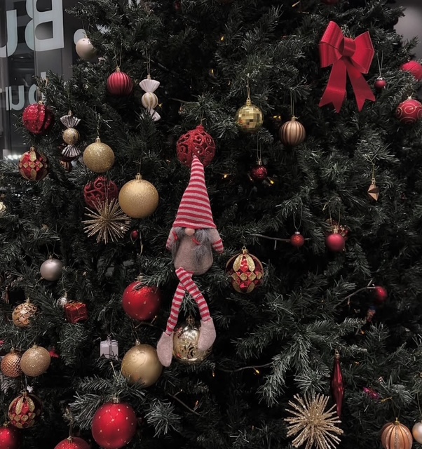 フォルクスワーゲン車のこだわり✨✨