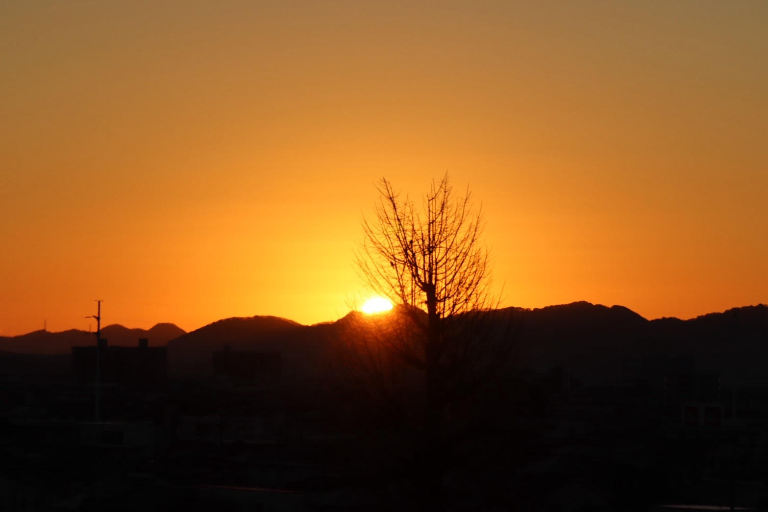 今年もよろしくお願いいたします🐎✨
